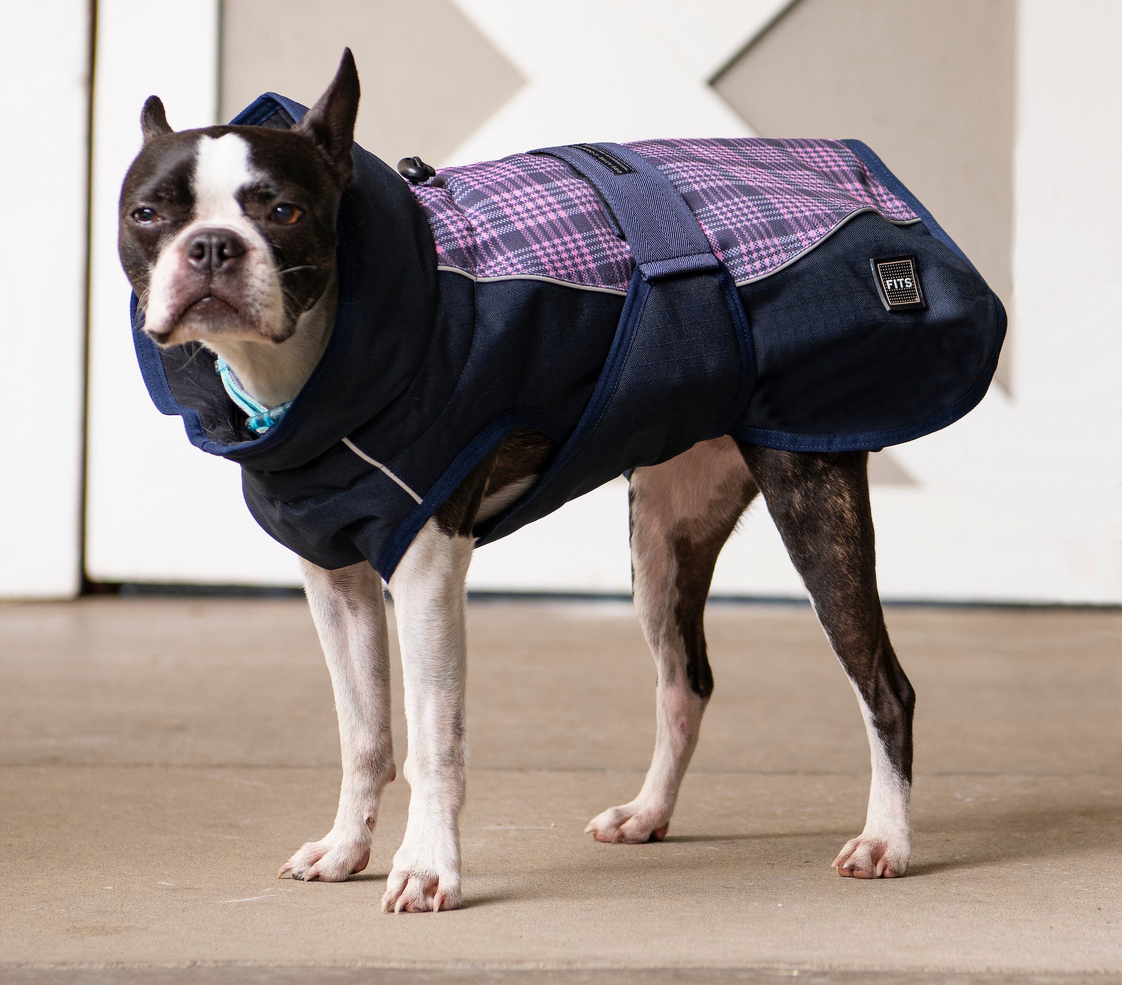 FITS All Weather Breathable Waterproof Dog Coat FITS Riding