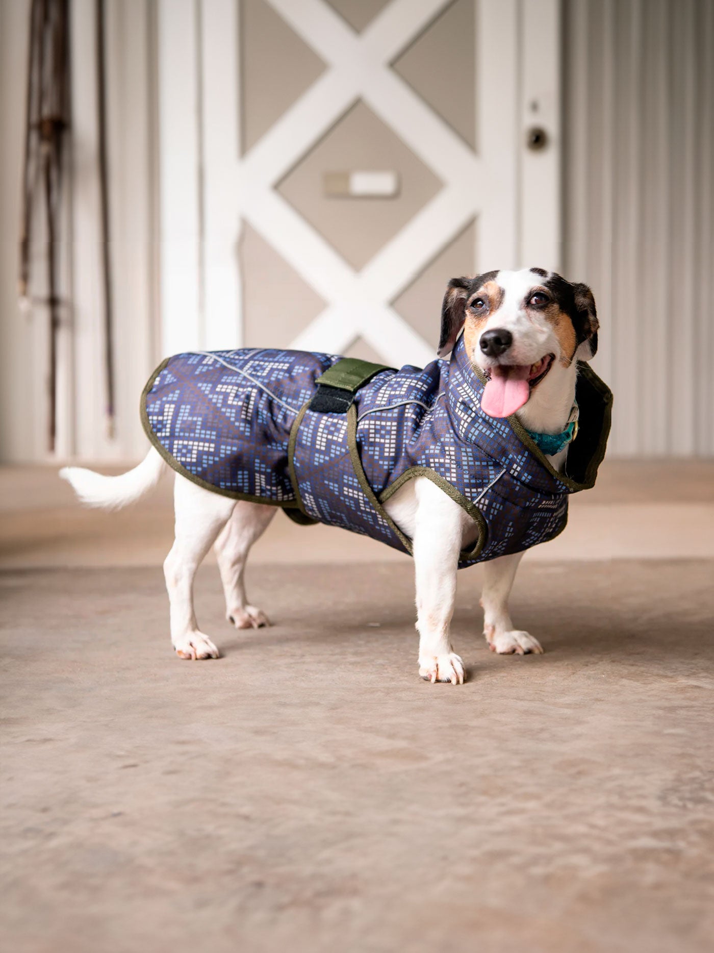 Thin waterproof shop dog coat