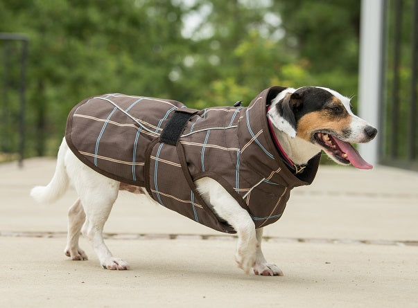 Tartan dog coats on sale waterproof